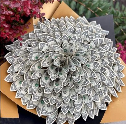 Money Bouquet / Dollar Bill Flowers